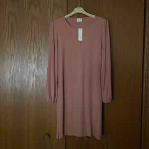 NWT Pink Long Sleeve Dress